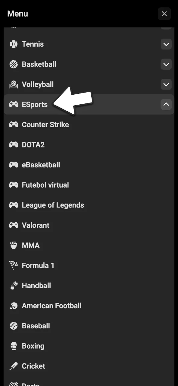 Encontre seus torneios favoritos de eSports no BoraWin.